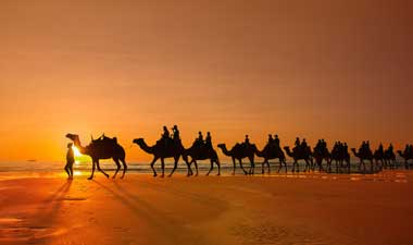 Australia Camel Ride